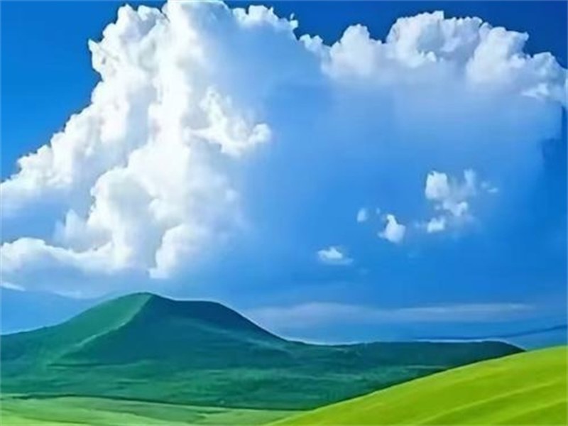 新注册公司