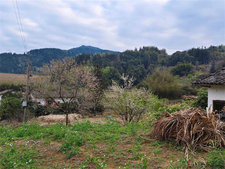 个人注册公司
