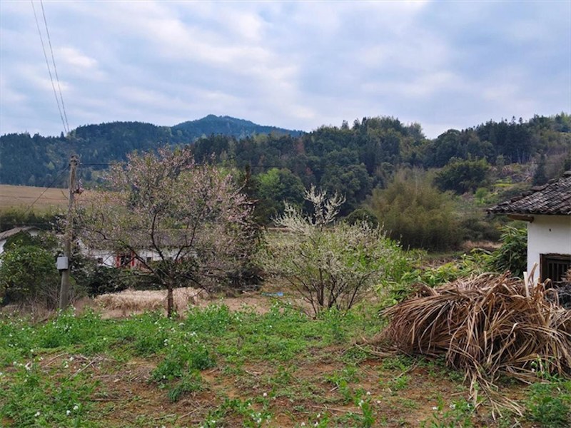 个人注册公司