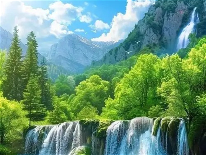 公司变更