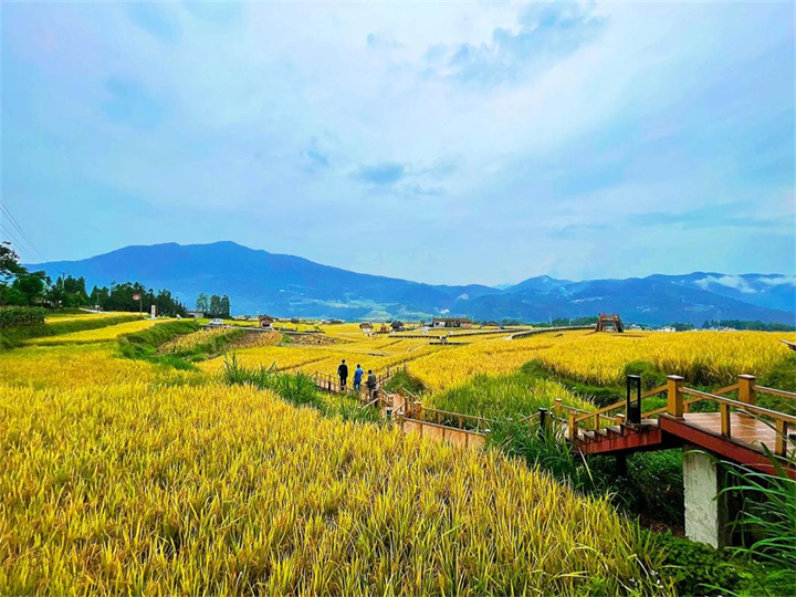 公司注销变更