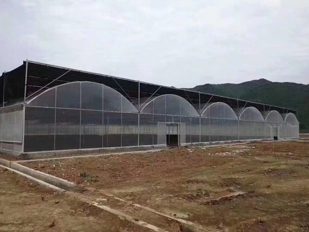 连栋温室大棚