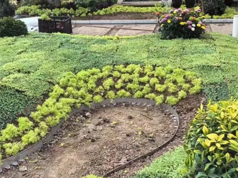 景区绿化围边