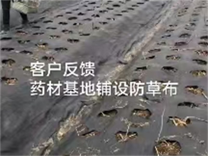 加厚防草布