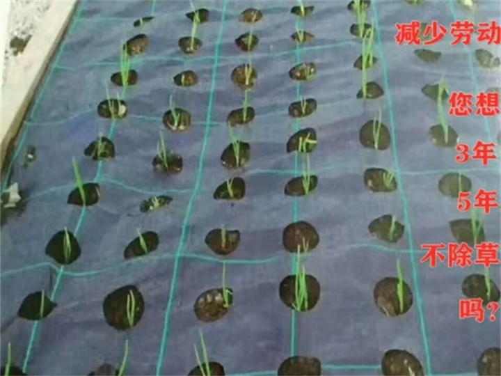 切片防草布