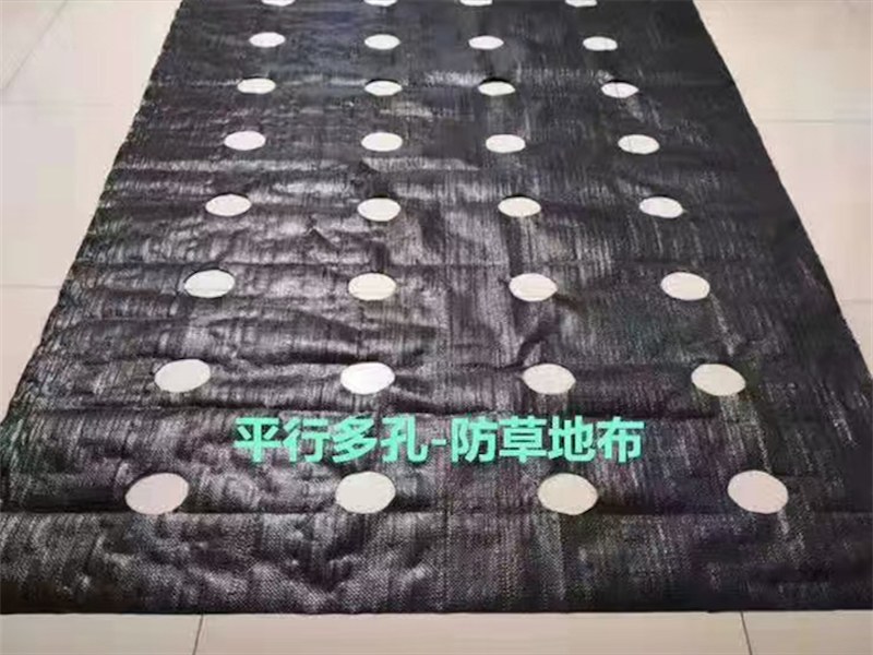 绿化防草布