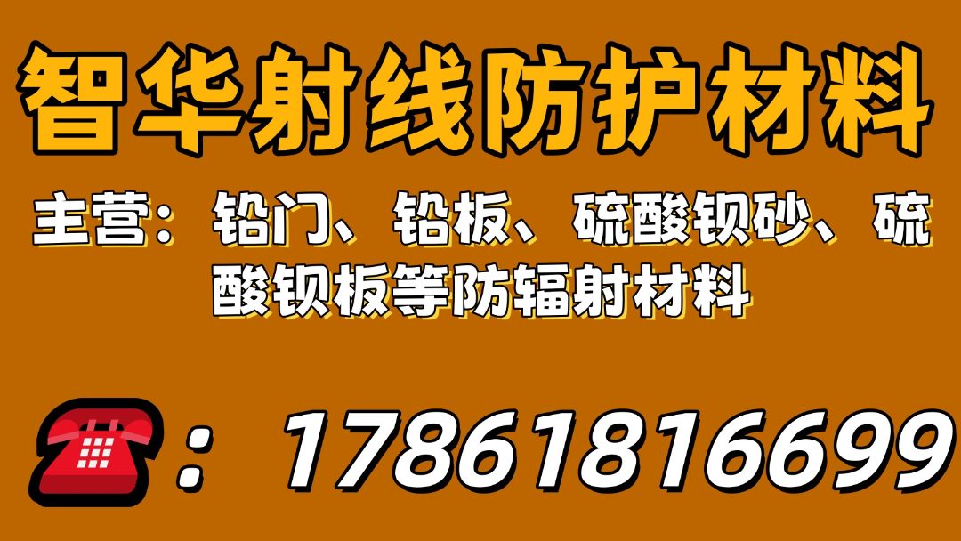 智华射线防护 防护铅门