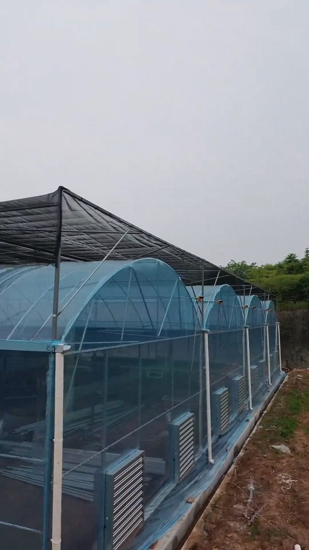 温室大棚家用