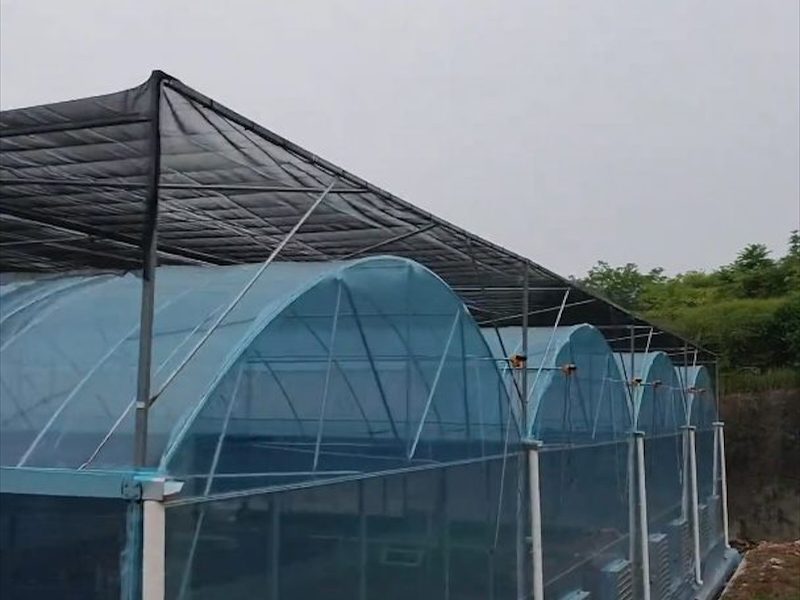 温室大棚家用