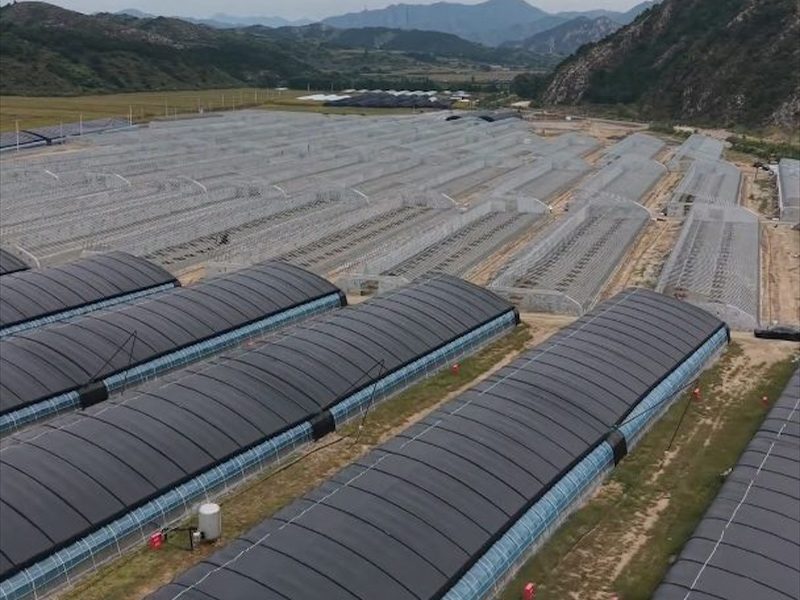 养殖大棚骨架