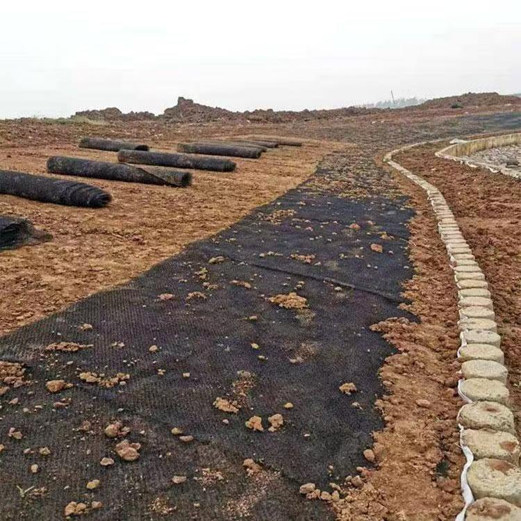 三维水土保护毯