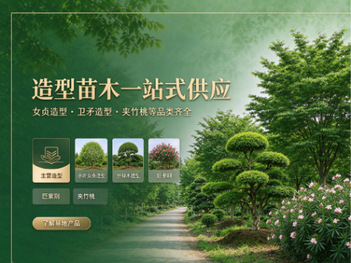 造型树基地 精品景观苗木培育与造型养护