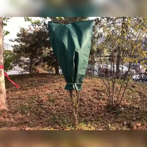 植物防寒罩