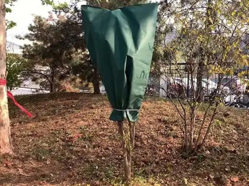 植物防寒罩
