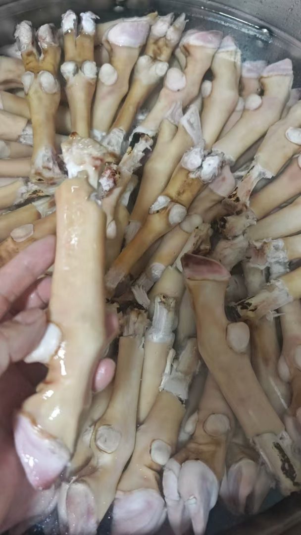 羊蹄
