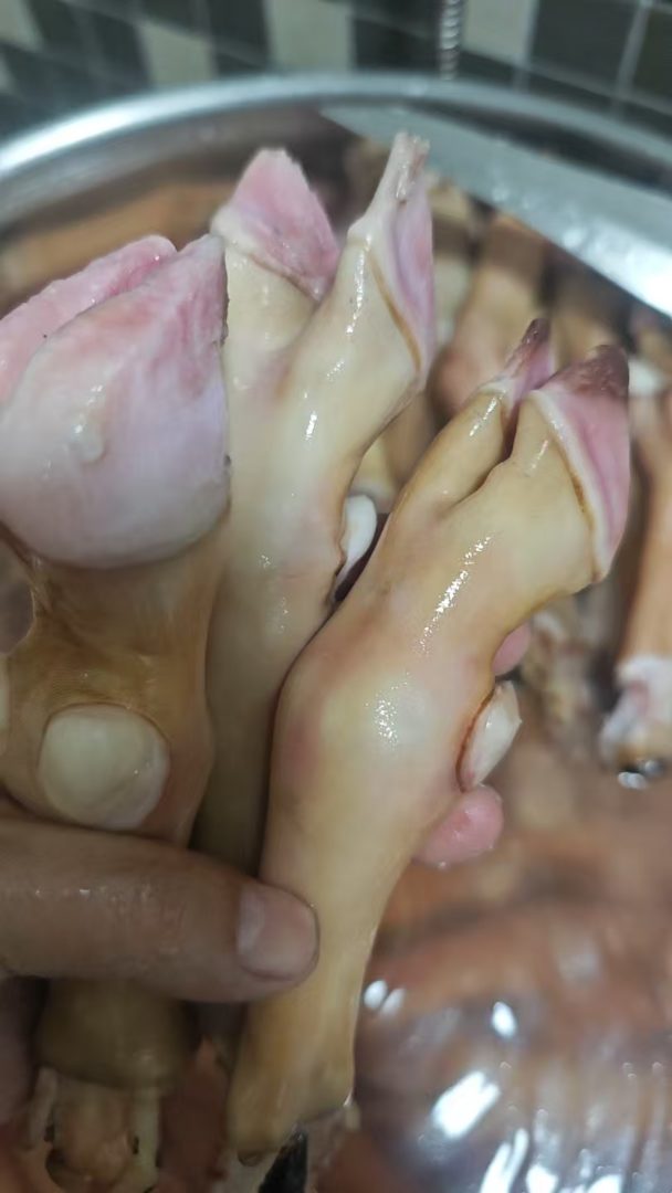 羊蹄