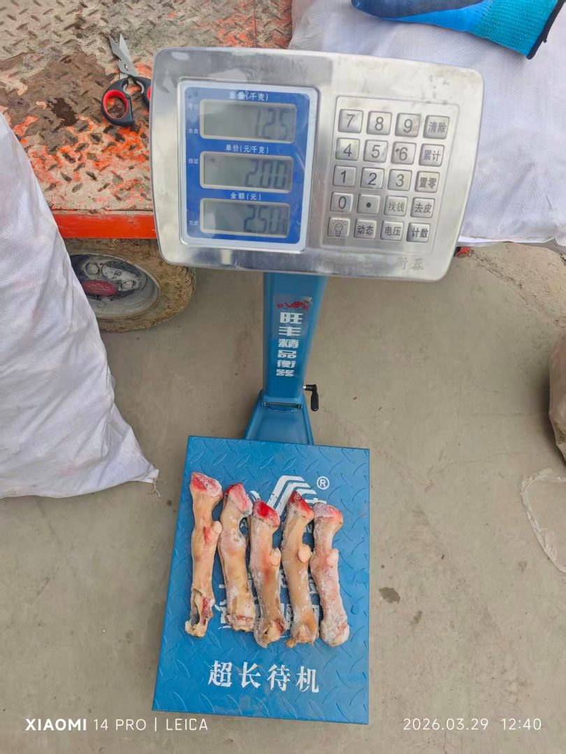 火烧羊蹄批发