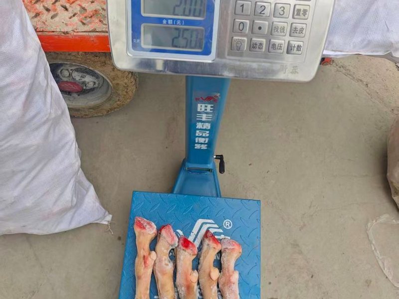 火烧羊蹄批发