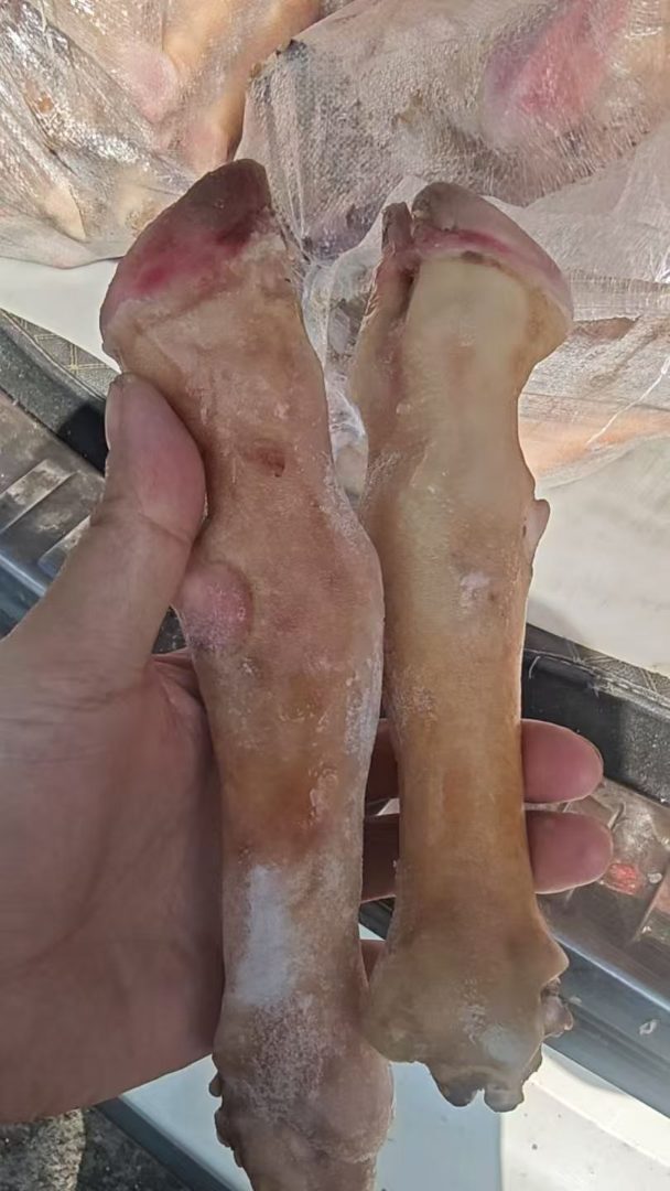 羊蹄子整箱批发