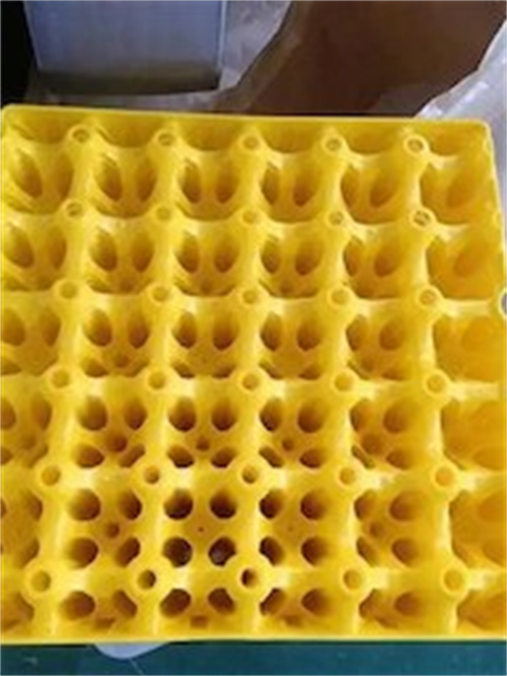 彩色塑料蛋托