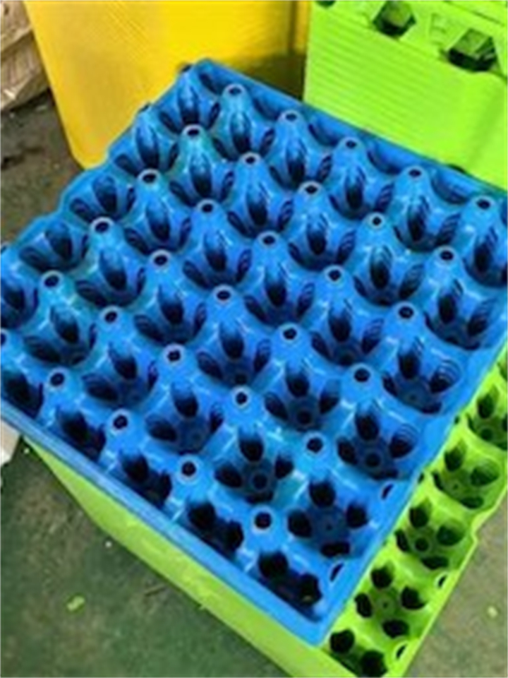 彩色塑料蛋托