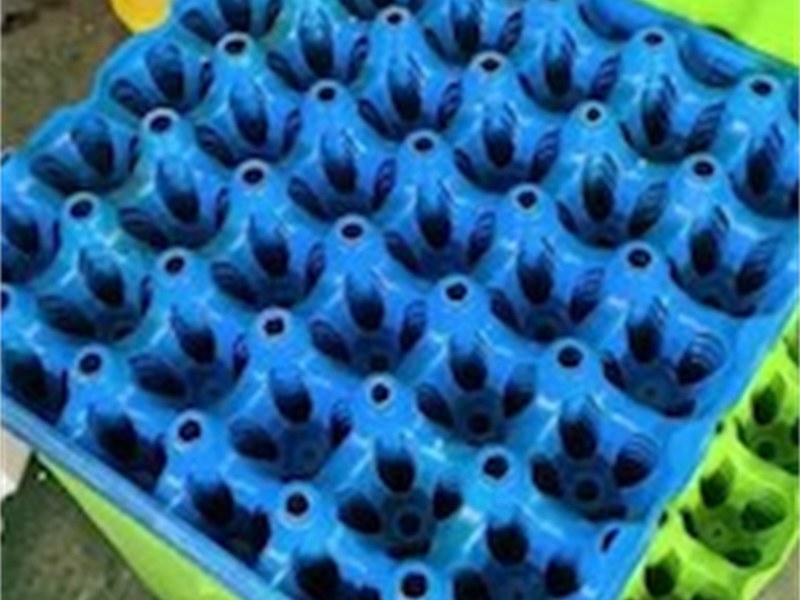 彩色塑料蛋托