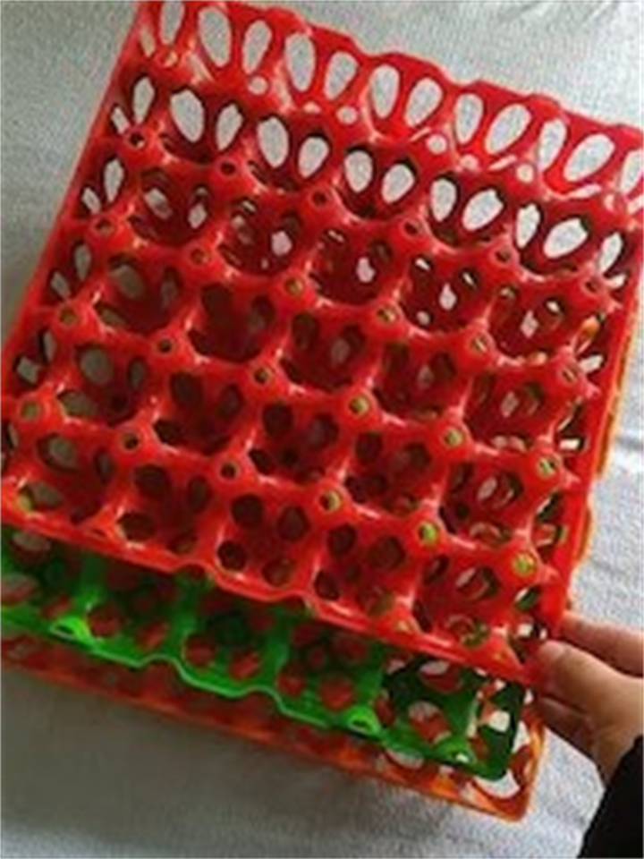 塑料蛋托