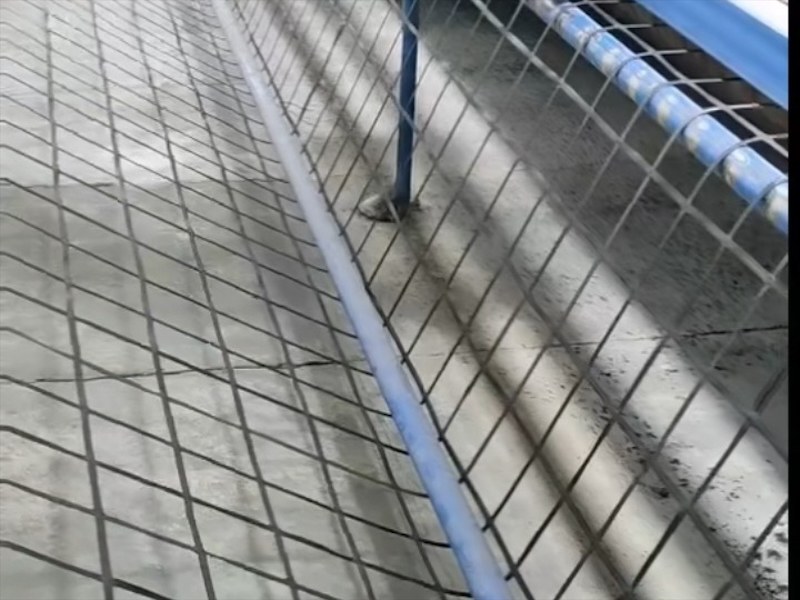 单向土工格栅