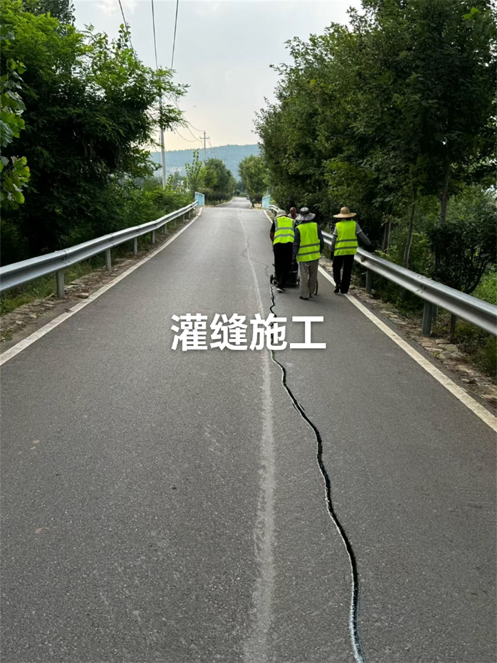 公路灌封胶