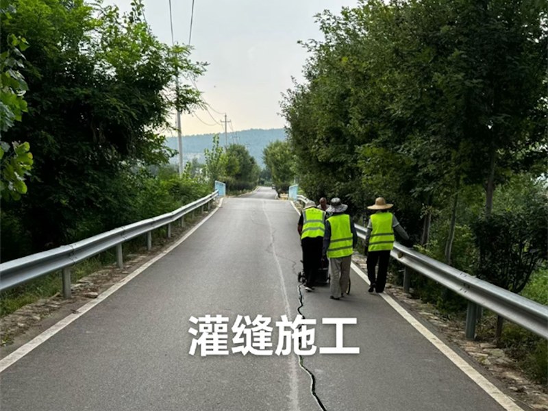 公路灌封胶