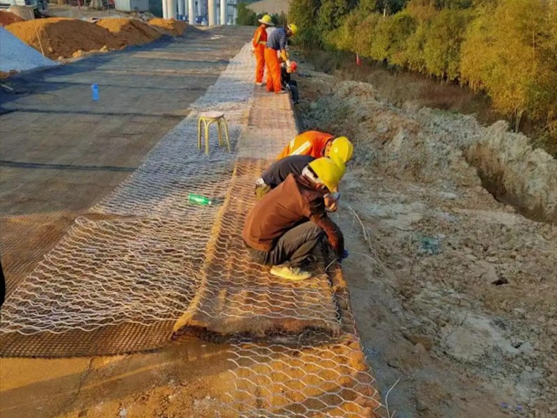 包塑格宾网