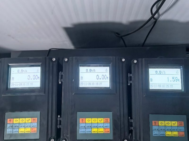 ICS 电子皮带秤