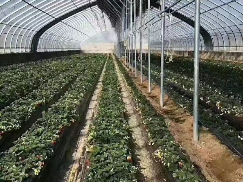 大棚管材