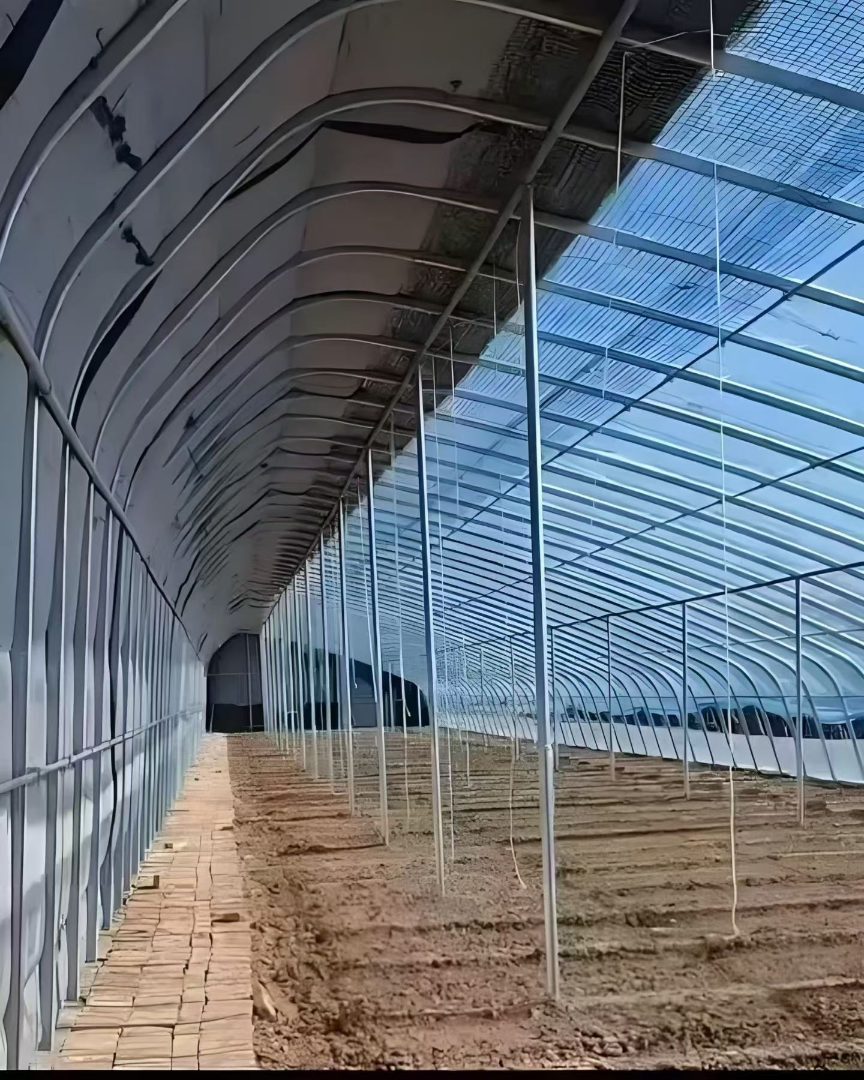 镀锌带大棚管