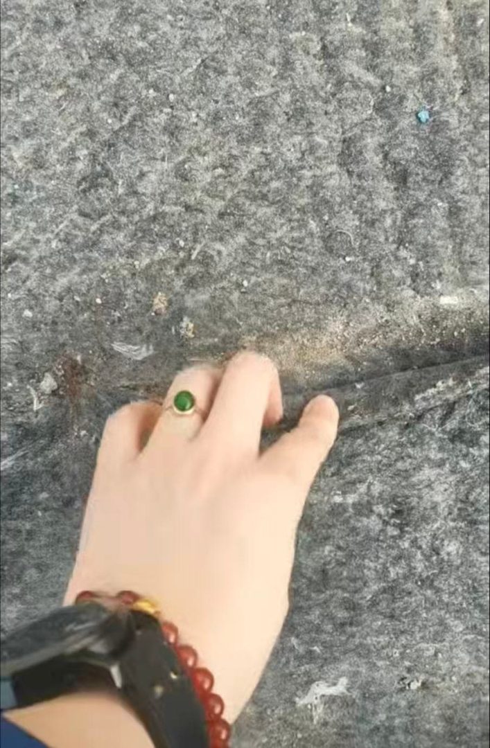 浇水固化水泥毯