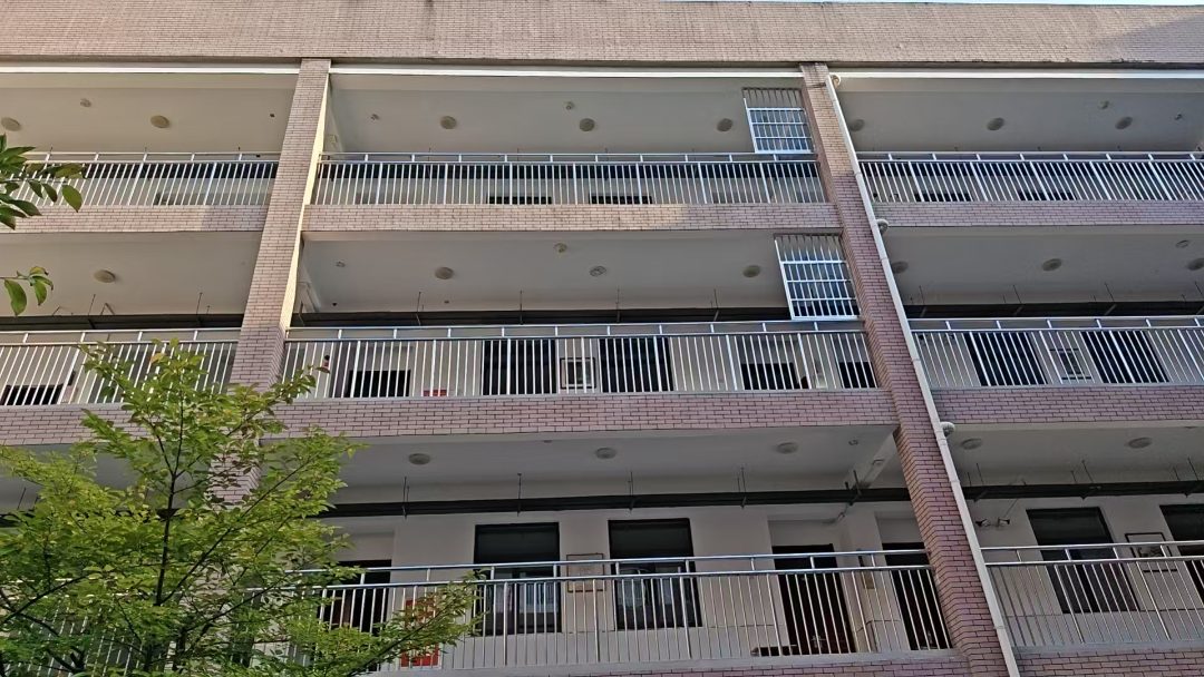 阳台防坠网
