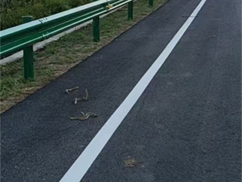 乡村公路波形护栏