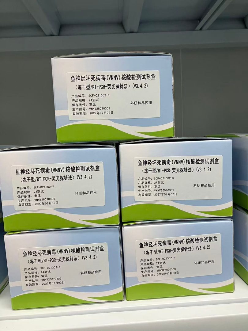 PCR试剂盒