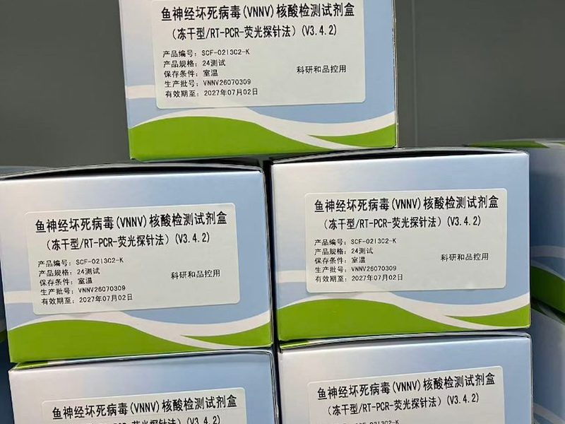 PCR试剂盒