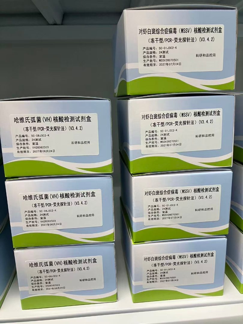 核酸检测试剂盒