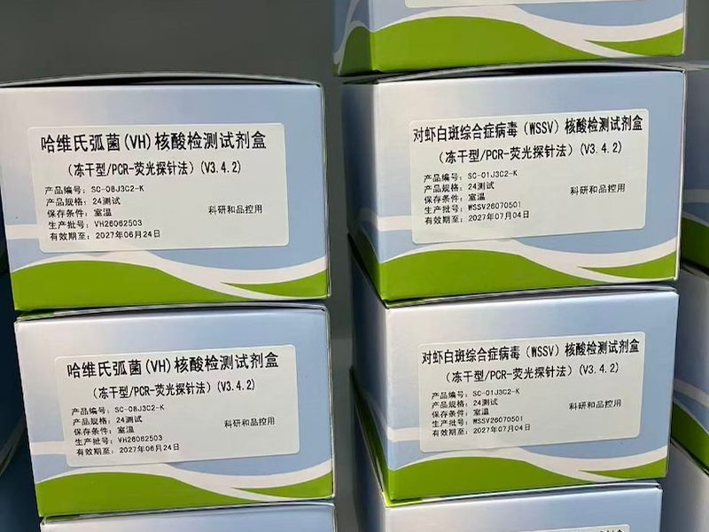 核酸检测试剂盒