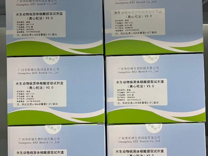 PCR试剂盒